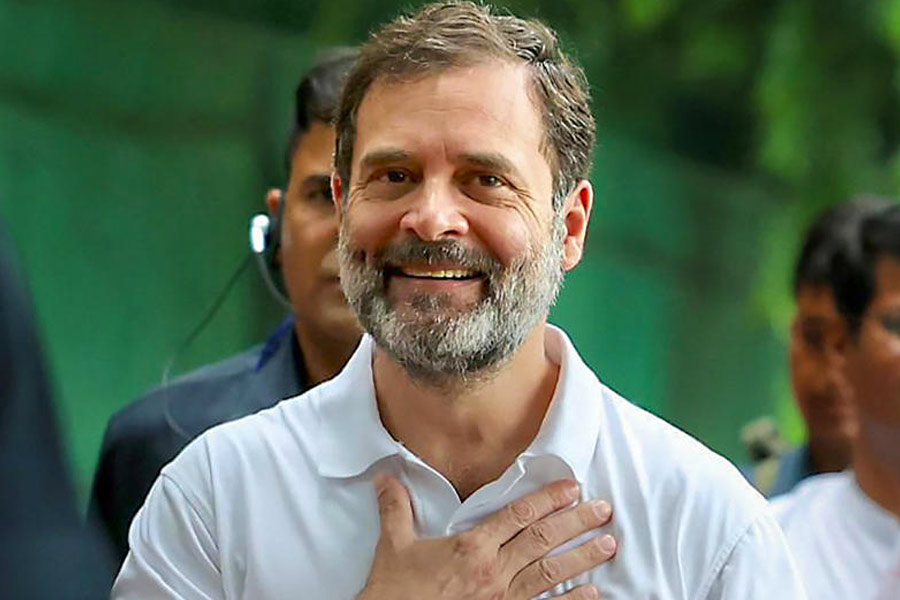 Rahul Gandhi MP