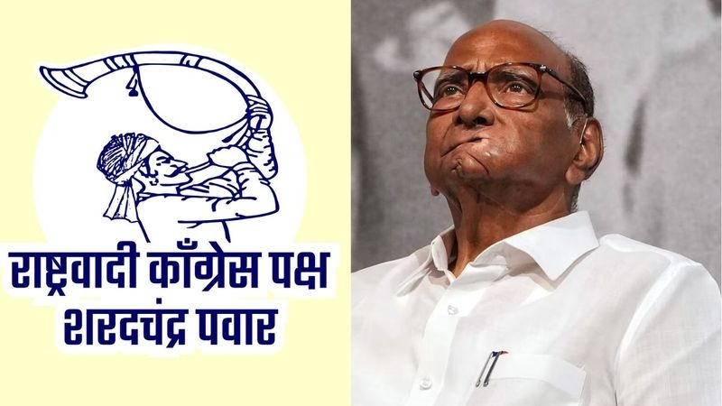 Election symbol 'Tutari' allotted to NCP Sharad Pawar, EC approves