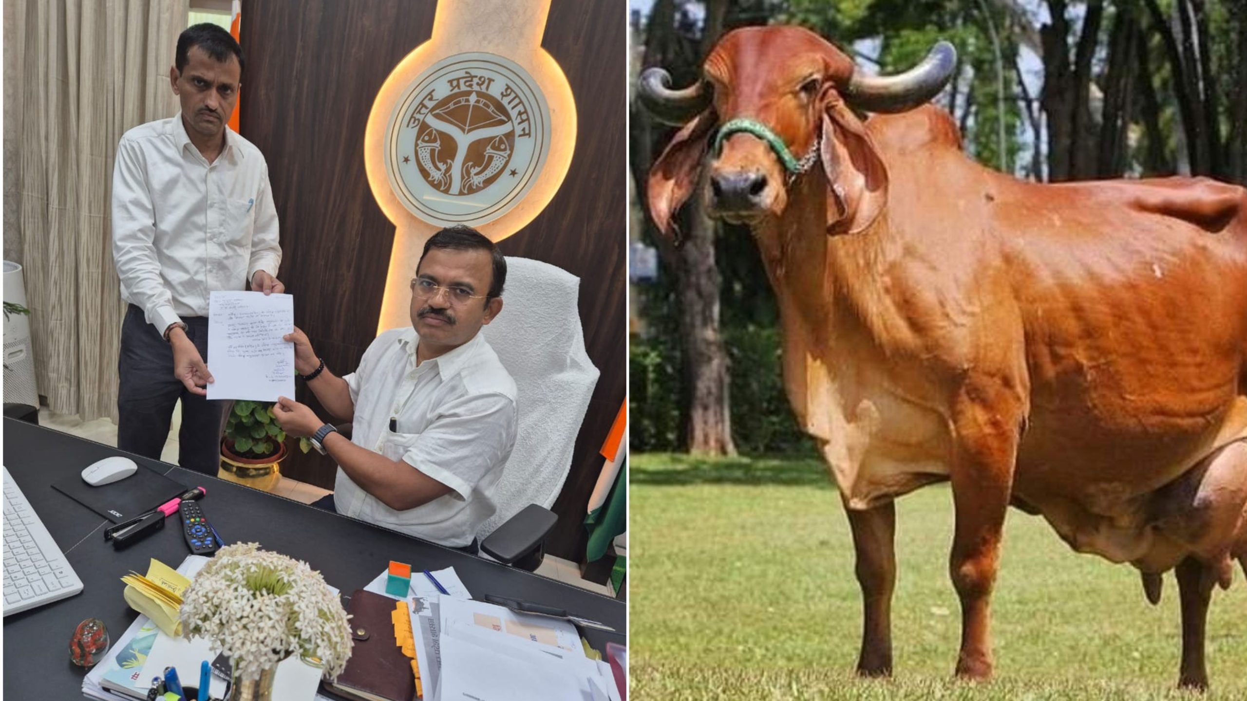 Social worker Sanjay Pathak met the Chief Secretary, demanded free 'classified semen' for poor cattle farmers