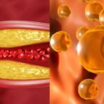 Pregnancy Superfood: जानें क्यों मखाना प्रेगनेंसी में महिलाओं के लिए है अमृत समान
