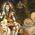 शिवभक्त या सड़कछाप गुंडे, कांवड़ यात्रा के नाम पर हिंसा, वीडियो देख लोग बोले- अब हद हो गई!