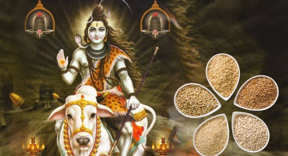 Sawan Shiv Muthi Puja