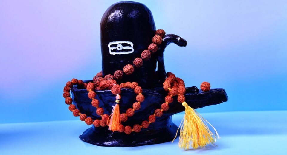 Shivling Puja Rules at Home