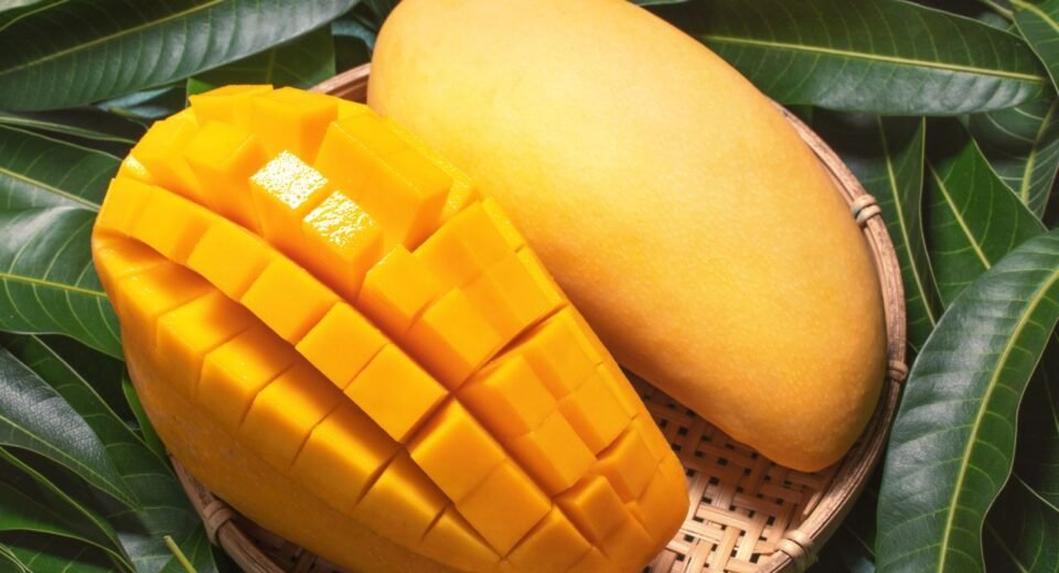 Mango Benefits for Skin