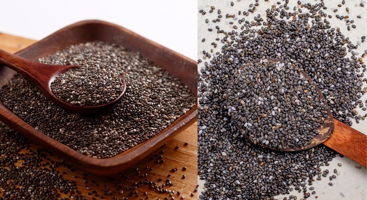Chia Seeds Sabja Seeds
