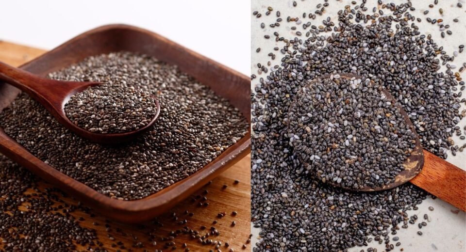 Chia Seeds Sabja Seeds