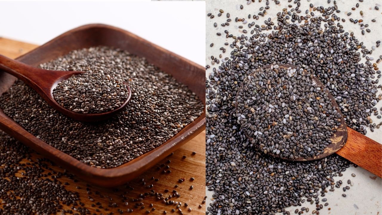 Chia Seeds Sabja Seeds