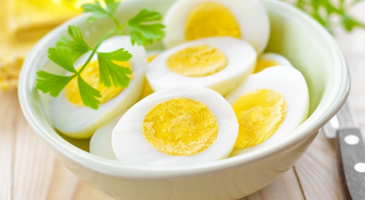 Egg and Cholesterol