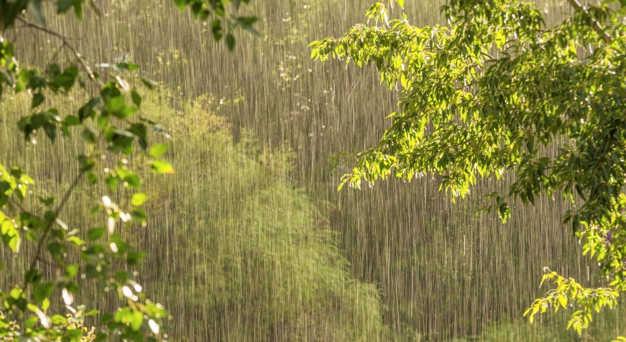 UP Heavy Rain Alert