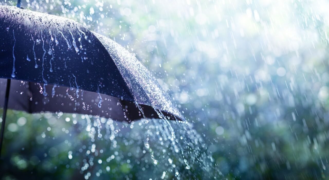Rain