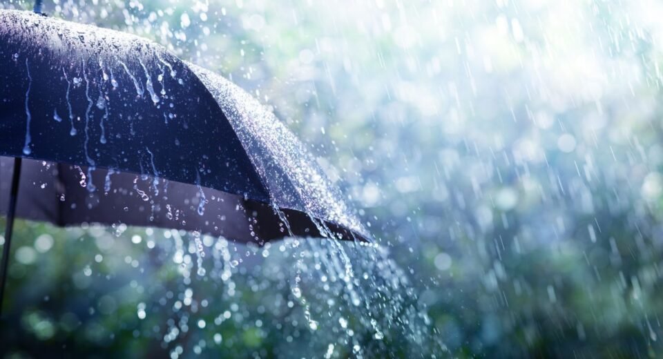 Rain