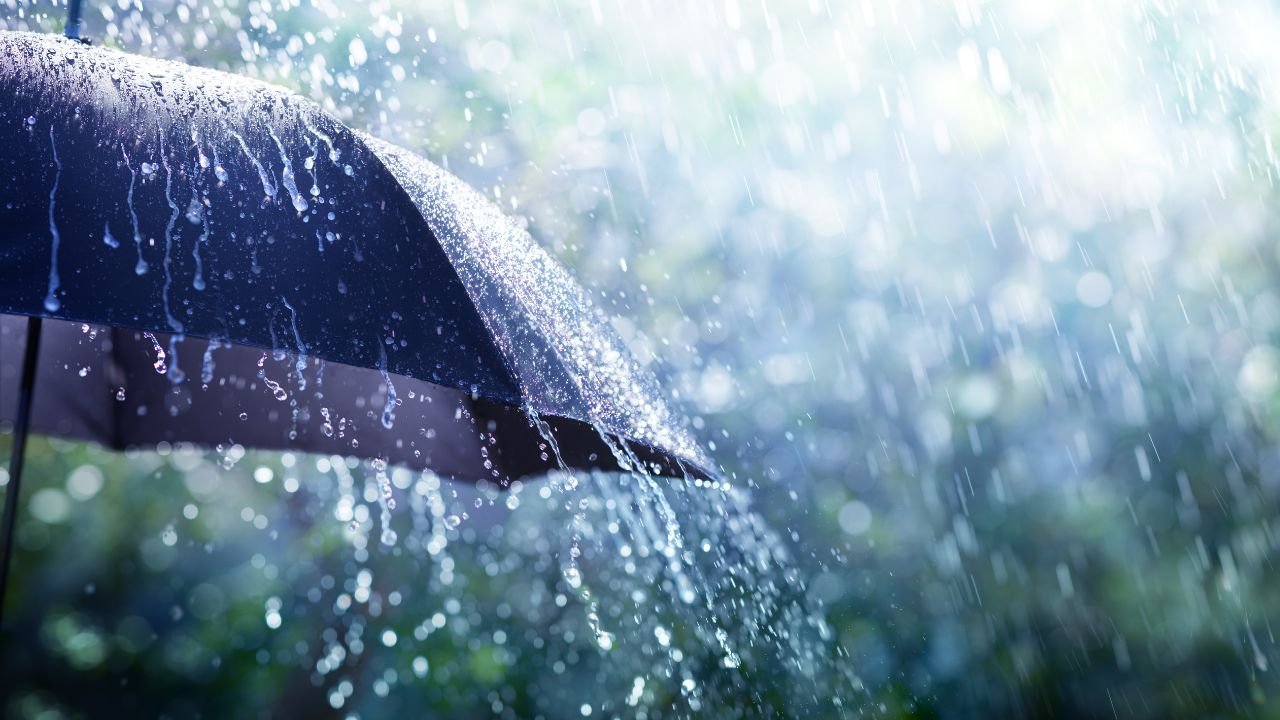 Rain