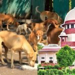 Supreme Court on Haridwar Temple: सुप्रीम कोर्ट ने मां चंडी देवी मंदिर प्रबंधन विवाद पर हाई कोर्ट को दिया निर्देश
