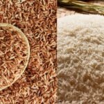 Kitchen Smell Hacks: किचन से आने वाली बदबू को करें दूर, अपनाएं ये आसान घरेलू उपाय