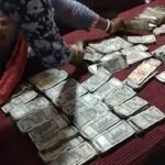 Brown Rice vs Samak Rice: ब्राउन राइस और सामक राइस में कौन है ज्यादा हेल्दी?