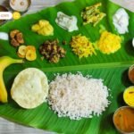 जापान-दक्षिण कोरिया दौरे से लौटे सीएम विष्णु देव साय, छत्तीसगढ़ में होगा बड़े पैमाने पर निवेश