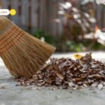 Pitru Paksha Pradosh Vrat 2025: मासिक शिवरात्रि और पितृपक्ष प्रदोष व्रत का दुर्लभ संगम, जानें विशेष पूजा विधि