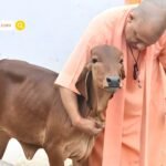 Diwali 2025 Movie Releases: तमिल और तेलुगु फिल्मों का बॉक्स ऑफिस क्लैश