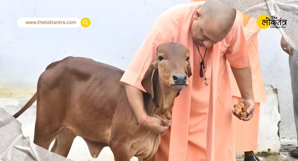Cow tourism will begin in Uttar Pradesh, cow shelters will become self-reliant.