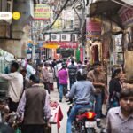 घर पर कैसे उगाएं कमल का फूल? दिवाली पर मां लक्ष्मी को अर्पित करें अपने बगीचे के Lotus Flower