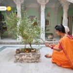 Akshaya Navami 2025: 31 अक्टूबर को है अक्षय नवमी, आंवला पूजा से मिलता है अखंड सौभाग्य और अक्षय धन, जानें व्रत कथा और महत्व