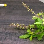 DRDO की बड़ी उपलब्धि: Indian Air Force के Su-30MKI से ‘गौरव’ लॉन्ग-रेंज ग्लाइड बम का सफल परीक्षण