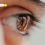 बॉक्स ऑफिस पर 120 बहादुर की मजबूत पकड़: धीमी शुरुआत के बाद तीसरे दिन ₹4 करोड़ की कमाई, वीकेंड कलेक्शन ₹10.10 करोड़