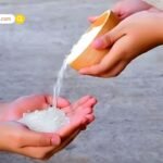 1 दिसंबर को मोक्षदा ‘Ekadashi Vrat’, शुभ संयोग में दीपक के दिव्य उपाय लाएंगे मोक्ष और समृद्धि