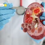 Regional Film ने मचाया तहलका: ‘कांतारा 1’ और ‘छावा’ को पीछे छोड़ ‘ROI’ में बनाया ऐतिहासिक रिकॉर्ड