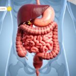 Health and Wellness: बोटॉक्स से नहीं, नैचुरल स्माइल से आएगा असली कॉन्फिडेंस! जानें 6 ओरल हेल्थ हैबिट्स