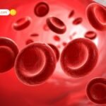 दिल्ली में Coffee लवर्स के लिए मस्ट-विजिट: मजनू का टीला से कनॉट प्लेस तक के 5 प्रसिद्ध कैफ़े जहाँ बनती है बेस्ट कॉफी