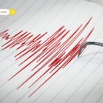 Vastu Shastra: मुख्य द्वार पर लगाएं ये 5 शुभ पौधे, घर में होगा मां लक्ष्मी का स्थाई निवास! जानें तुलसी, बांस और मोगरा को रखने की सही दिशा और 3 वर्जित पौधे