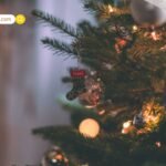 महाकाल लोक पार्किंग विवाद: सुप्रीम कोर्ट की दो टूक, कहा- आप मालिक नहीं हैं, याचिका नहीं सुनी जाएगी