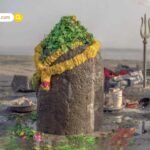 हेल्दी मानकर रोज़ाना गुड़ खाने से पहले जान लें नुकसान; बढ़ सकता है शुगर, वजन और इंफेक्शन का जोखिम