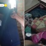 सलमान खान के साथ स्टेज शेयर करने पर पवन सिंह को लॉरेंस बिश्नोई गैंग से धमकी, मुंबई पुलिस में शिकायत दर्ज