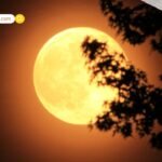 खूनी ‘Serial Killer’ पूनम के हत्याकांड: एकादशी और ‘तंत्र-मंत्र’ का शक, सुंदर बच्चों के प्रति घृणा और सजा-ए-मौत की मांग