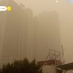 Pulp Fiction फेम एक्टर पीटर ग्रीन का 60 साल की उम्र में निधन, मैनहट्टन अपार्टमेंट से मिला शव; निभाए थे खौफनाक विलेन के किरदार