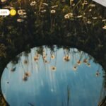 अंडे खाने से कैंसर? सोशल मीडिया की अफवाहों पर FSSAI का बड़ा खुलासा, जानिए सच्चाई