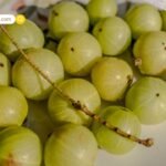 ऑनलाइन सट्टेबाजी ऐप्स के प्रचार मामले में CID के सामने पेश हुईं तेलुगु एक्ट्रेस लक्ष्मी मांचू, घंटों चली पूछताछ