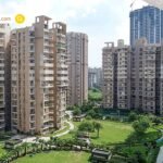 गूगल क्रोम का Smart Use: बिना एक्सटेंशन बढ़ाएं अपने काम की रफ़्तार, रैम और बैटरी बचाने की ये हैं Google Chrome की जादुई ट्रिक्स