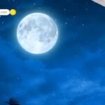 अर्जुन बिजलानी के ससुर का निधन; अंतिम संस्कार में फूट-फूटकर रोया परिवार, पत्नी नेहा की हालत देख प्रशंसकों की आंखें हुईं नम