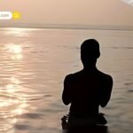 Olive Oil for Hair: झड़ते और बेजान बालों के लिए वरदान है जैतून का तेल, जानें इस्तेमाल का सही तरीका