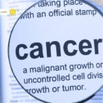 Deepika Padukone : धमाकेदार वापसी को तैयार बॉलीवुड की मस्तानी; 2026 में दिखेगा फिल्मों का सैलाब