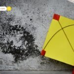 Khichdi Tradition: आखिर संक्रांति पर खिचड़ी ही क्यों बनाई जाती है? जानें बाबा गोरखनाथ से जुड़ी ये कहानी