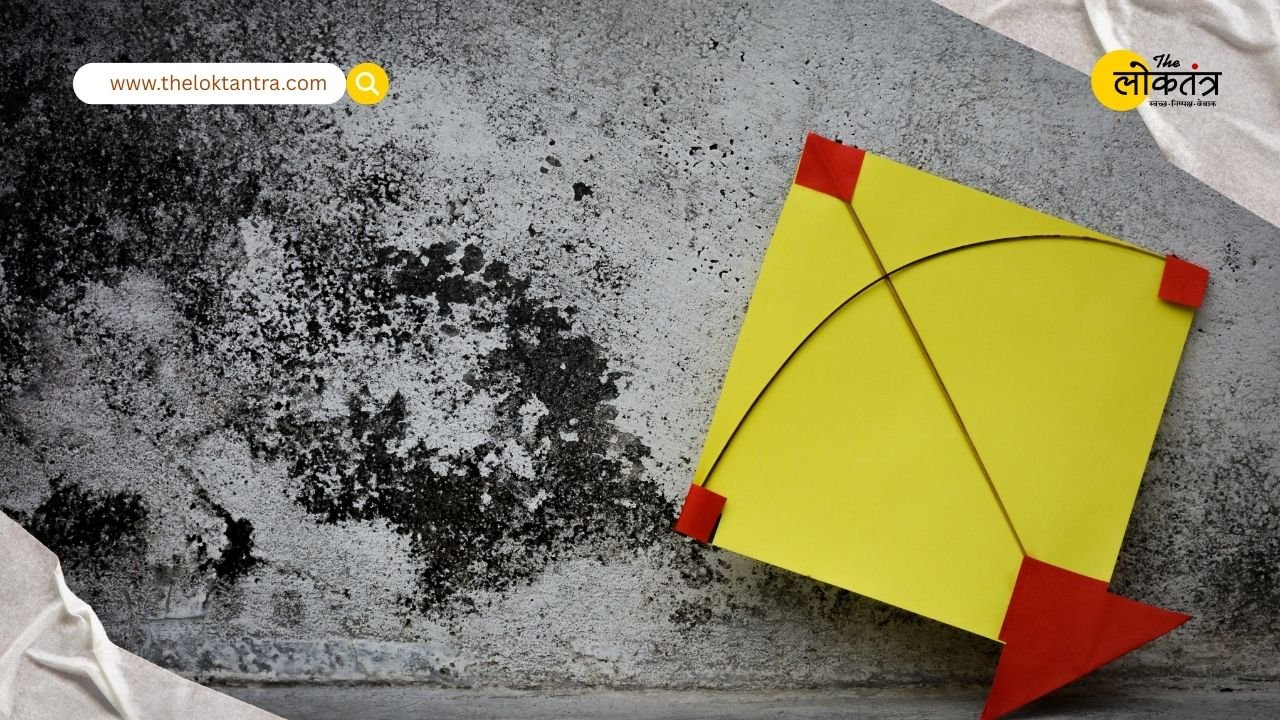 Makar Sankranti 2026: मकर संक्रांति पर पतंगबाजी का है प्लान? तो रखें इन बातों का खास ध्यान