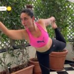 Plane Crash Deaths: सौंदर्या से लेकर तरुणी सचदेव तक, वो सितारे जिनकी जिंदगी का आखिरी सफर बना विमान हादसा