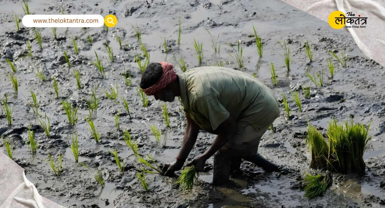 Budget 2026: Government focuses on increasing farmers' income, cultivating new opportunities from dairy to cocoa.