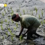 Budget 2026 को सीएम योगी ने बताया विकसित भारत का रोडमैप, विपक्ष ने जताई निराशा