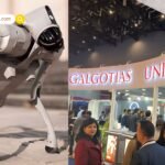AI Summit 2026 विवाद: फर्जी रोबोट दावे पर घिरी गलगोटियास यूनिवर्सिटी, महिला प्रोफेसर का मामले पर ‘यू-टर्न’ वायरल