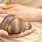 Instagram Recovery Guide: क्या आपका इंस्टाग्राम अकाउंट हैक या लॉक हो गया है? जानें वापस पाने के आसान तरीके